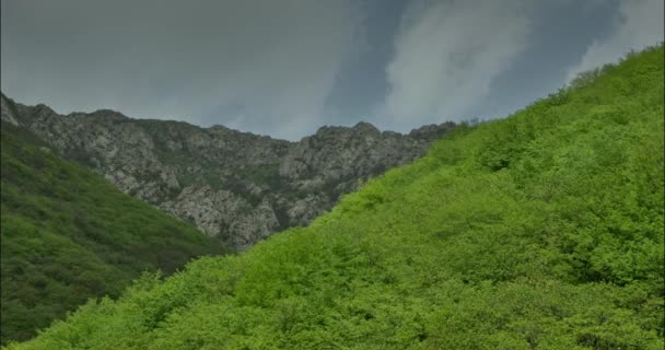 森林の山の中での太陽光線と雲の4K時間経過 — ストック動画