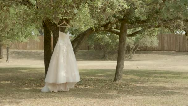 Bílé Svatební Šaty Věšáku Visícím Stromě Zahradě — Stock video