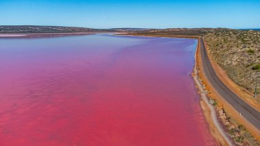 A beautiful view of the Pink Lake with a narrow road around and cliffs in Western Australia