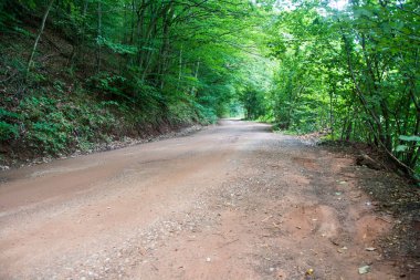 Ormanda Büyük Yol, Sırbistan 'da Grza Nehri