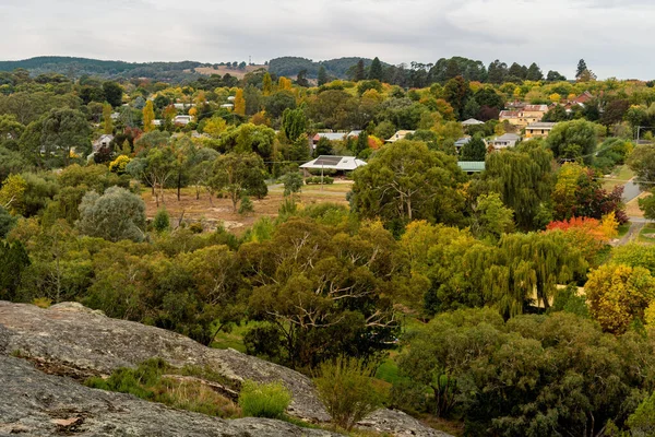 Een Luchtfoto Van Groene Bomen Een Dorp Buurt Van Beechworth — Stockfoto