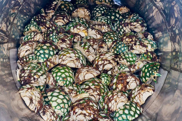 Pineapple Agave Already Cut Ready Cooked Oven — Stock Photo, Image