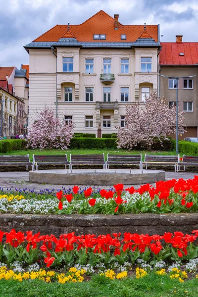 Vertical Shot Streets Banska Bystrica Day Slovakia — 스톡 사진