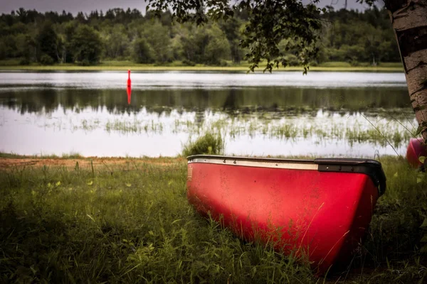 Red Boat Lake Trees Background — Stockfoto