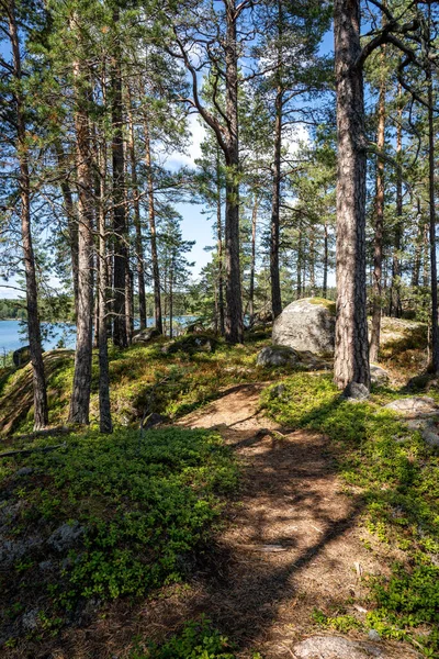 Path Majestic Forest Rocky Shore Lake Sweden Hiking Nature Outdoors —  Fotos de Stock