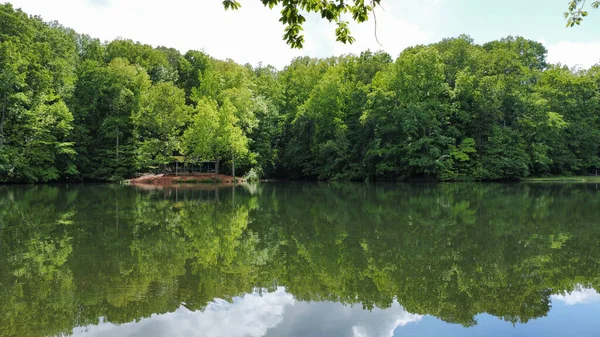 Beautiful Shot Green Trees Reflecting Water — Stock Photo, Image