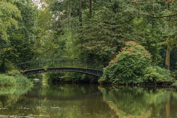 Beautiful Bridge Mystical Green Forest — Stock Photo, Image