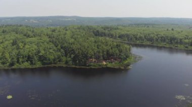 Yazın bir gölün kenarındaki ormanın havadan çekimi.