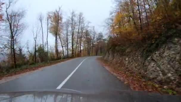Ağaçlar Yapraklarla Dolu Asfalt Bir Yolda Giden Bir Arabanın Sonbahar — Stok video