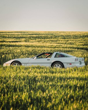 A vertical shot of a Corvette C4 car in a rape field