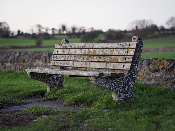 Empty Old Wooden Bench Positioned Grass Background Green Field Trees — Stok fotoğraf
