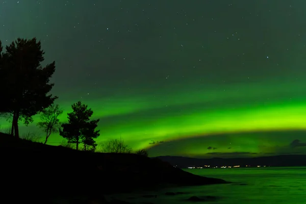 Beautiful Shot Bright Green Northern Lights Forest Tree Silhouettes — Zdjęcie stockowe