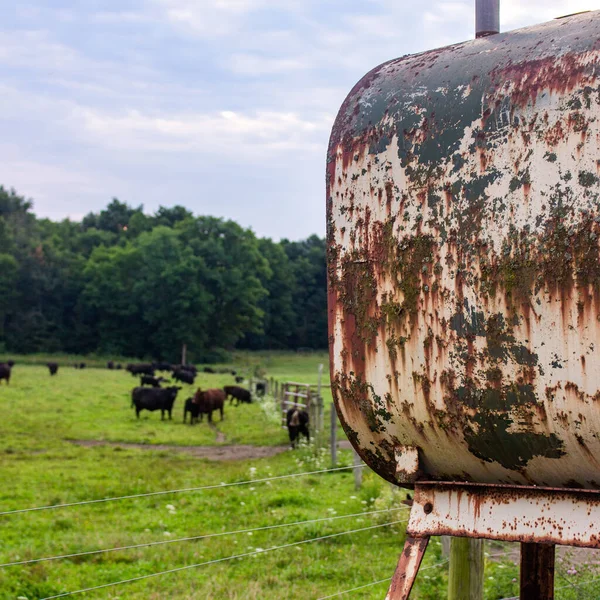 Closeup Rusty Water Tank Green Field Cows Trees Background — Fotografia de Stock