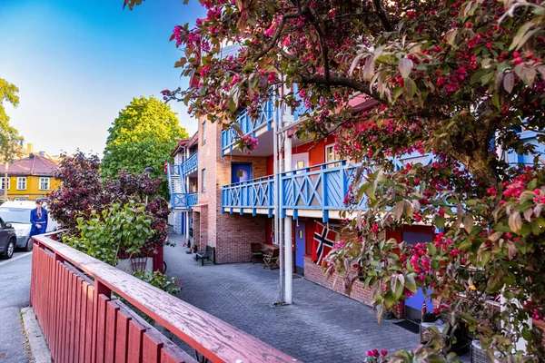 Oslo Yazın Kampen Oslo Norveç