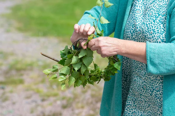 Woman Holding Green Birch Tree Twigs Creating Wreath Preparation Midsummer — Foto de Stock