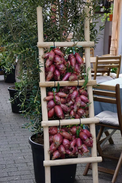 Vertical Shot Red Onions Hanging Wooden Ladder Market — Fotografia de Stock