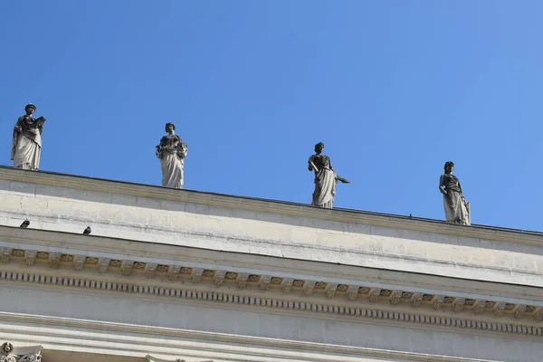 Piękne Ujęcie Korkowego Sądu — Zdjęcie stockowe