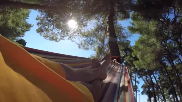 Caucasian Male Lying Swinging Hammock Green Trees Sunny Day — Vídeos de Stock