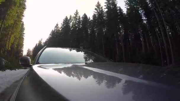 Beautiful View Black Car Driving Asphalt Road Surrounded Pine Forests — Stok video