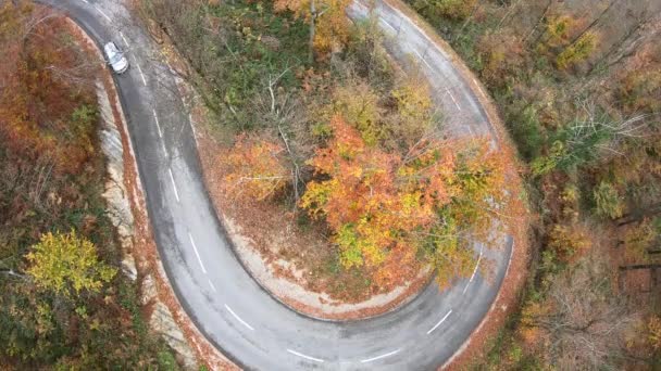 Flygbild Bil Ridning Ormpentin Höstskog — Stockvideo