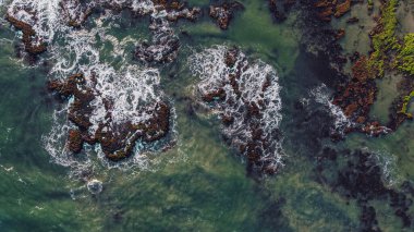 An aerial view of Reef and Corals in the sea with green moss growth