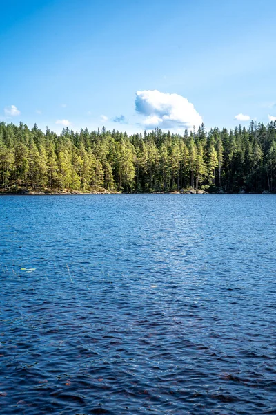 Vertical Shot Blue Lake Background Dense Woods — Zdjęcie stockowe