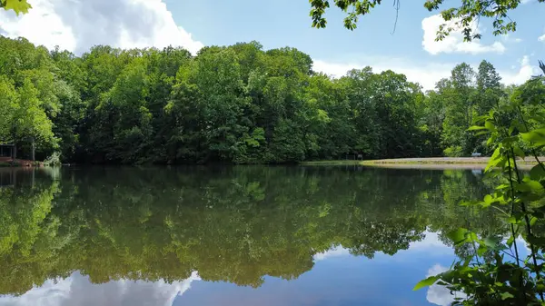 Beautiful Shot Green Trees Reflecting Water — Stock Photo, Image