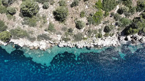 Drone Shot Sea Shrubs Growing Rocky Cliff —  Fotos de Stock