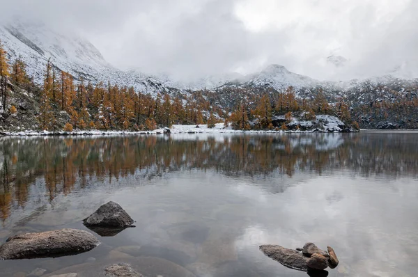 Piękna Zimowa Sceneria Alpejskim Jeziorem Otoczonym Drzewami — Zdjęcie stockowe