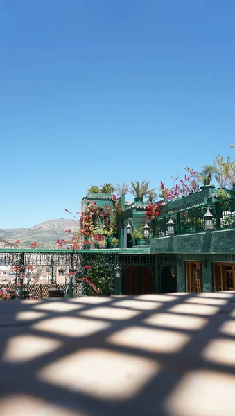 Garden Morocco Sunny Day — Zdjęcie stockowe