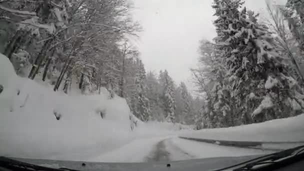 Fast Driving Car Passing Forested Area Snowy Winter Day — Vídeo de Stock