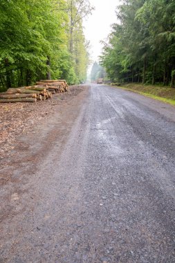 Macaristan 'ın Zalaegerszeg kentindeki Csacs Botanik Bahçesi (Csacsbozsoki Botanik Bahçesi)