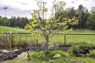 Old abandoned church Skagen  Denmarrk