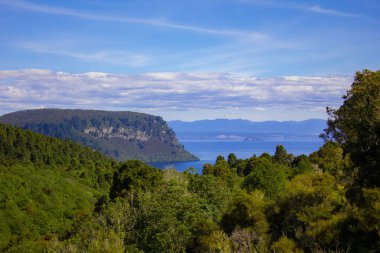 An aerial shot of a beautiful sea next to green mountains with a blue sky