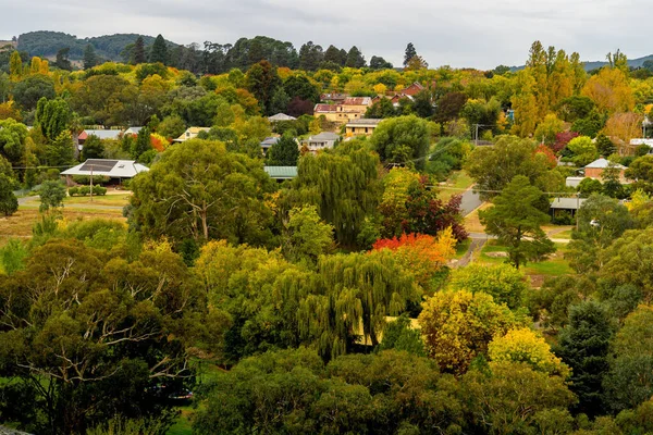 Een Luchtfoto Van Groene Bomen Een Dorp Buurt Van Beechworth — Stockfoto