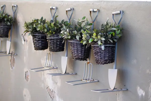 Close Cute Potted Plants Hanging Wall — Zdjęcie stockowe