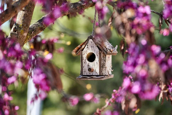 Nice feeder for birds in the shape of a house hanging from the branches of a tree among purple flowers