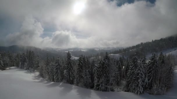 鸟瞰着密密麻麻的森林 在多云的天空中被雪覆盖着 — 图库视频影像