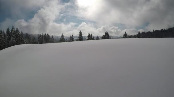 在雪地上的森林里空中拍摄的高树植物 — 图库视频影像