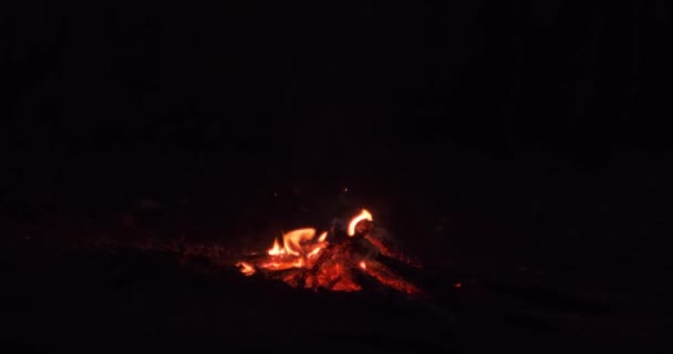Winter Campfire Burning Lights — Stock videók