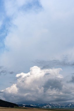 Ufuktaki mavi gökyüzünde ağaçlarla beyaz bulutlara karşı geniş ovaların dikey görüntüsü