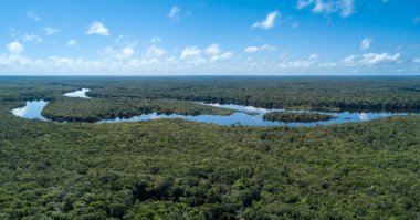 Amazon yağmur ormanlarının insansız hava görüntüsü çok güzel. Güzel orman ağaçları ve nehirler. Çevre, ekoloji. Amazonlar, Brezilya.