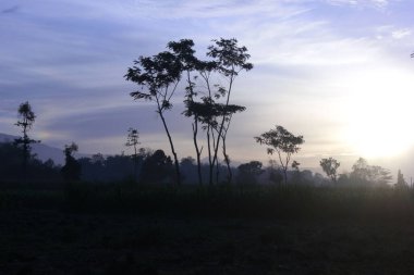 Bulutlu arka planda dağlarda güzel bir güneşin doğuşunun manzarası.