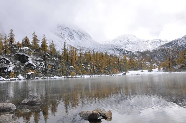 Eine Wunderschöne Winterlandschaft Mit Einem Von Bäumen Umgebenen Bergsee — Stockfoto