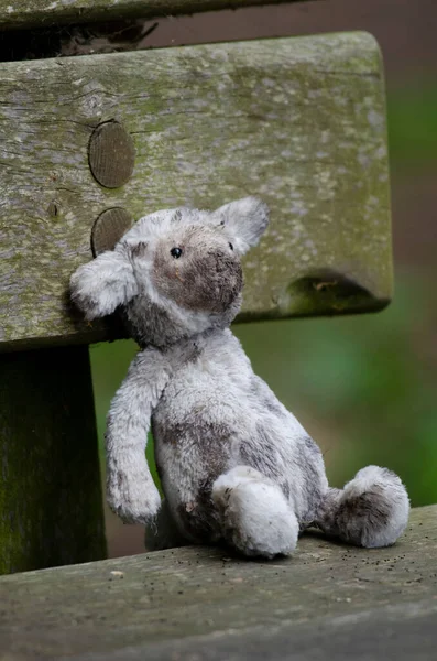 Childs Lost Muddy Soft Toy Sitting Bench Showing Concept Loss — Zdjęcie stockowe