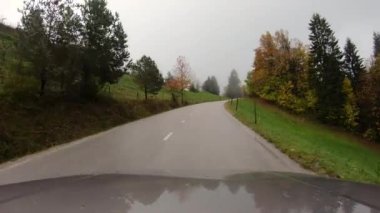 Bir arabanın ön camından yeşil doğayla çevrili bir yol manzarası.