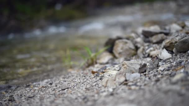 Selective Focus Sand Pebble Lakeshore — Stok video