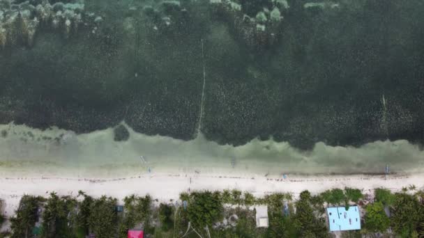 Aerial Slow Movement Beach Surrounded Buildings Palms — Stockvideo
