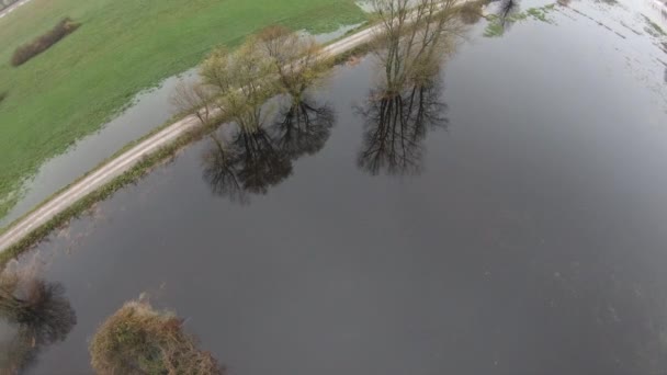 Aerial View Flooded Area Park — Video