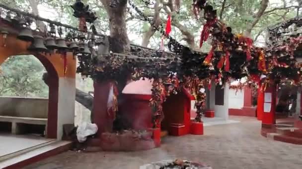 Golu Devta Temple Visitors Uttarakhand India — Stock Video